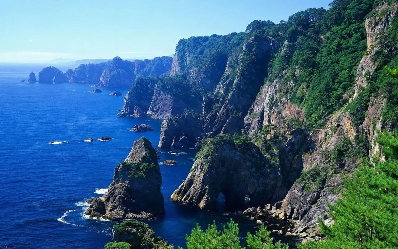 高标准先进高端